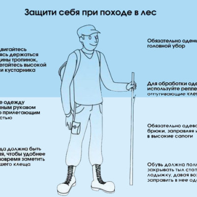 Клещевой энцефалит