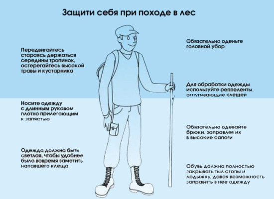 Боррелиоз (болезнь Лайма)