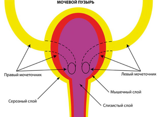Повреждение мочеточников