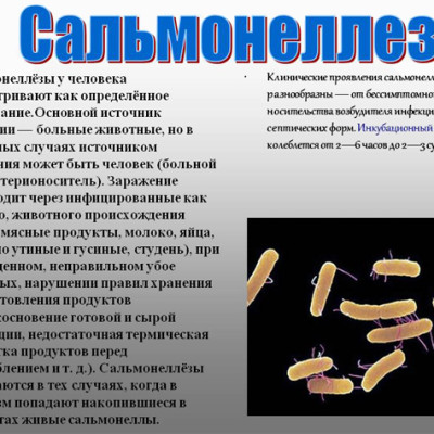 Лечение и профилактика сальмонеллезной инфекции