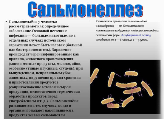 Лечение и профилактика сальмонеллезной инфекции