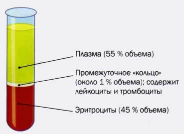 Состав крови