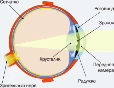 Световая офтальмия (фотоофтальмия)